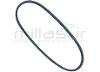 CORREA CASTEL G. 10 x 635 - Z25 CL430/434TR/TDL430TR... - foto 2