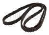 CORREA DENTADA STIGA 2000-DS8M-20 VILLA 107M  (250 D.) - foto 4
