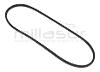 CORREA Z36 - 10 x 900 Li - AS-MOTOR 26AH8, 26AH9, 53B8 - foto 3