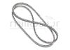 CORREA 9,5 x 1124 MTD 25A-253N401, 25A-201G000, 25A-201G325, 25A-201H7000, 25A-203L013, 25A-203N713 - foto 3