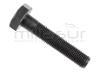 TORNILLO CUCHILLA