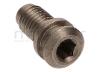 TORNILLO AMARRE RACORES (14) - foto 3