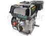 MOTOR COMPLETO 7CV RLT12GVH (49), BIO70 (24) - foto 5