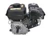MOTOR HORIZONTAL 8HP 4,6kW 223cc - DM600 - foto 6