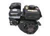 MOTOR HORIZONTAL 8HP 4,6kW 223cc - DM600 - foto 6
