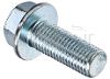 TORNILLO CUCHILLA M10-1.25X30 DC361 (43)