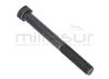 TORNILLO EMBRAGUE CUCHILLAS ZT107H (F155) - foto 2