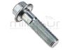 TORNILLO SUJECCION POLEA TENSORA TC62 ( 07 44 )