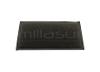 PRE FILTRO AIRE B&S PARA 55-2126