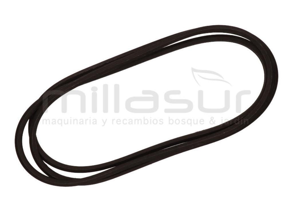 CORREA CORTE AA116,5 - 12,7 x 2959  - VIKING MT6127 - foto 1