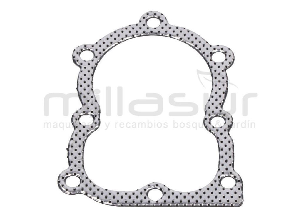 JUNTA CULATA B&S 141XXX, 144XXX, 145XXX, 146XXX, 147XXX - foto 1