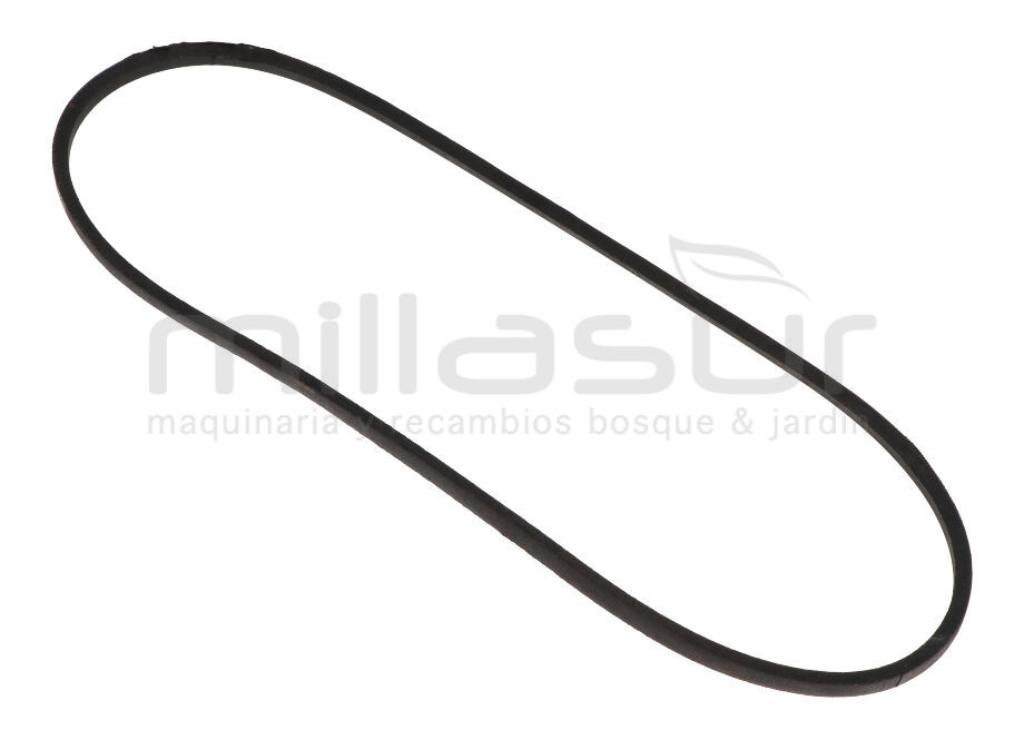 CORREA Z36 - 10 x 900 Li - AS-MOTOR 26AH8, 26AH9, 53B8 - foto 1