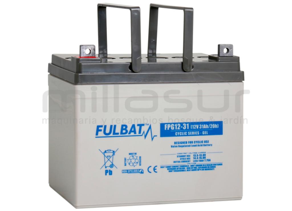 BATERIA CICLICA GEL FPG12-31 12V 31 Ah.( 195 x 130 x 178 )  - foto 1