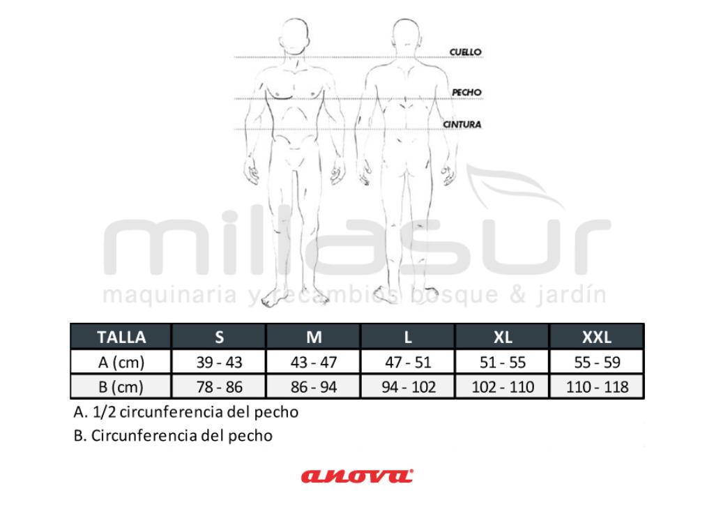 CHAQUETA ANTICORTE BASE PRO CLASS1 TALLA XL (protección en brazos y pecho) - foto 5