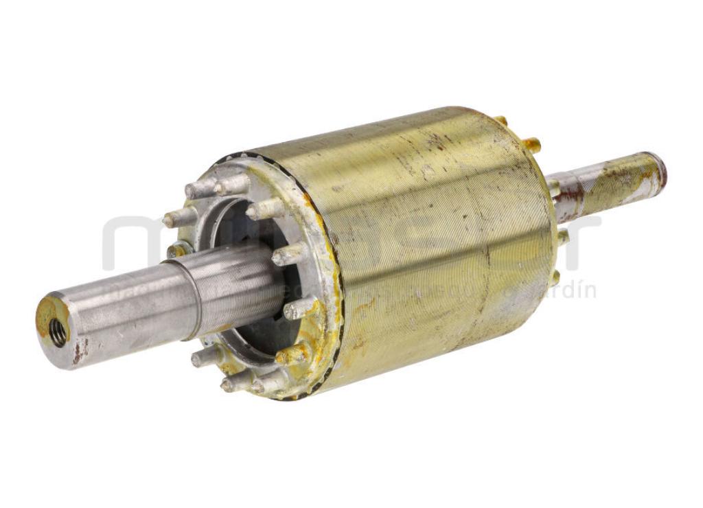 ROTOR MOTOR CA24, CA50 (31) (2HP - 2019) - foto 2