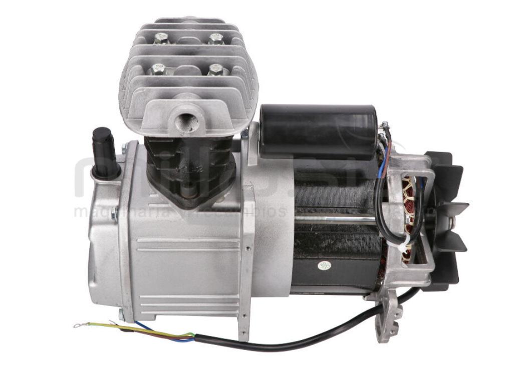 MOTOR COMPLETO CON BOMBA CA24, CA50 (31) (2HP - 2019) - foto 2