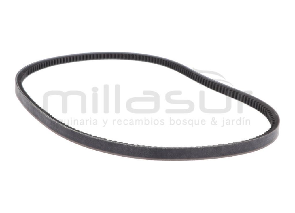 CORREA 11 x 6.5 x 856 - SARP - XTREM04 - foto 1