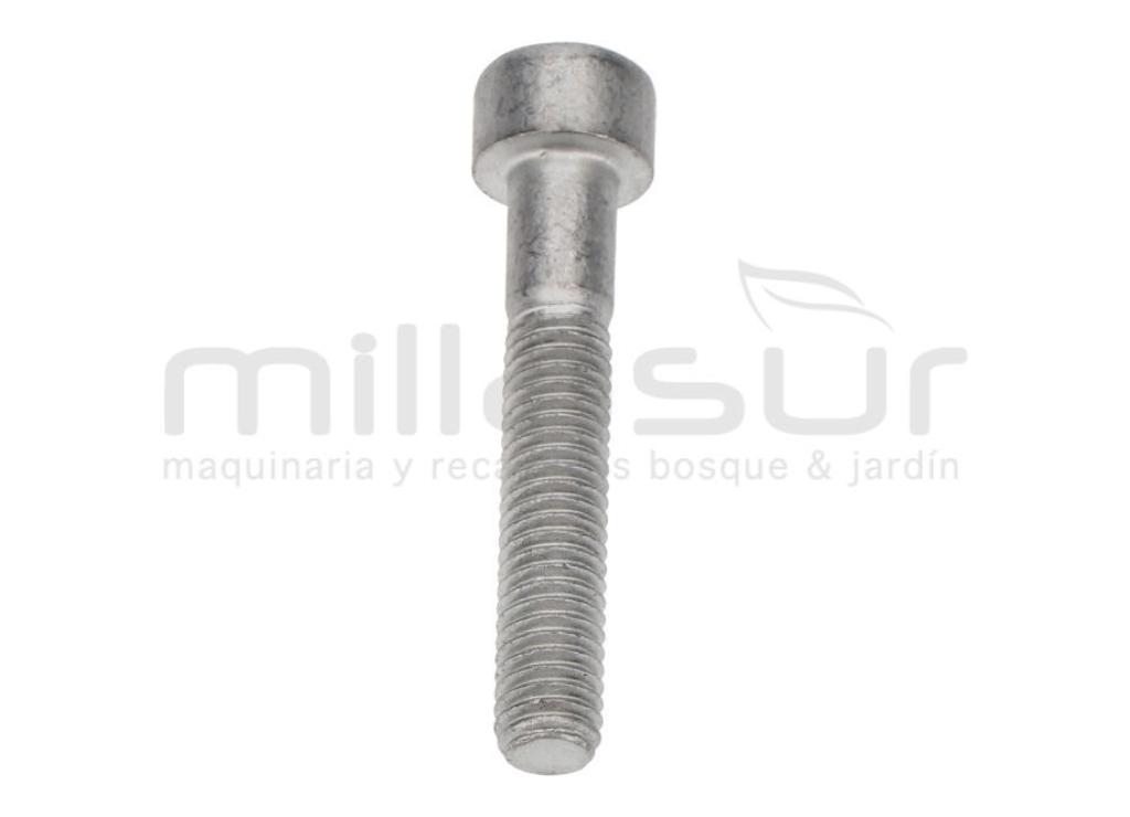 TORNILLO CULATA H1700 - foto 1