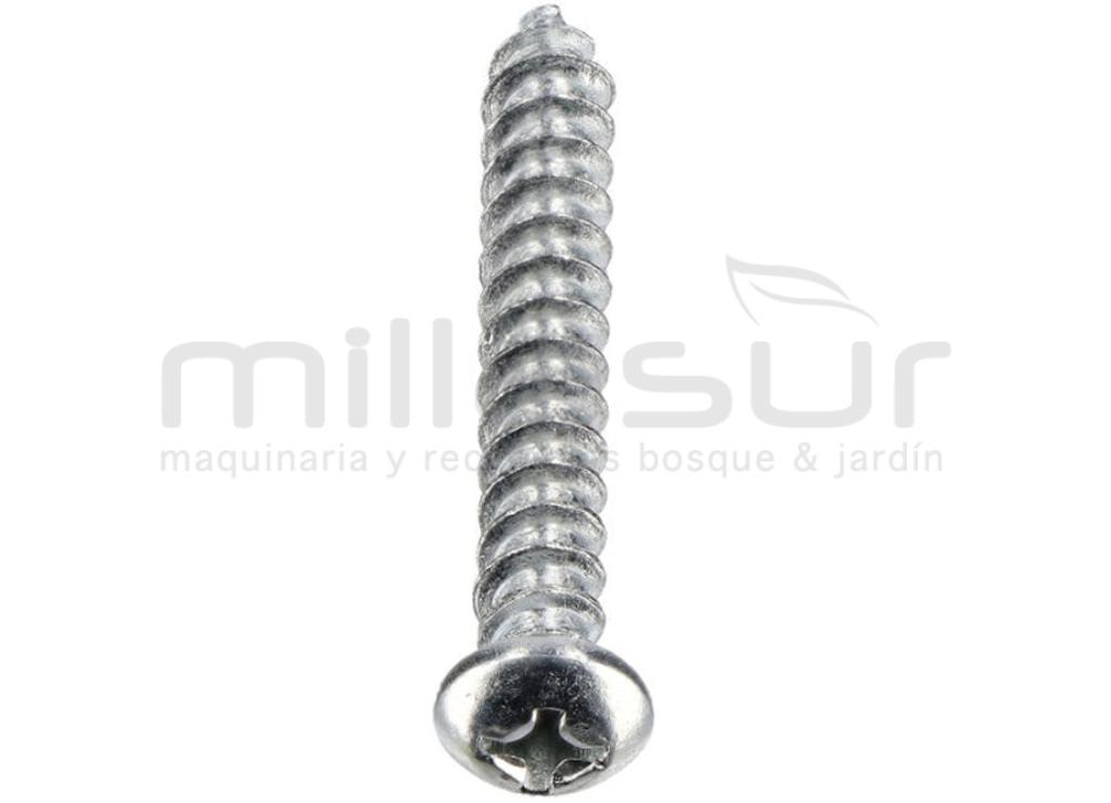 TORNILLO PROTECTOR CADENA ST5X34 MB300 (6) - foto 2