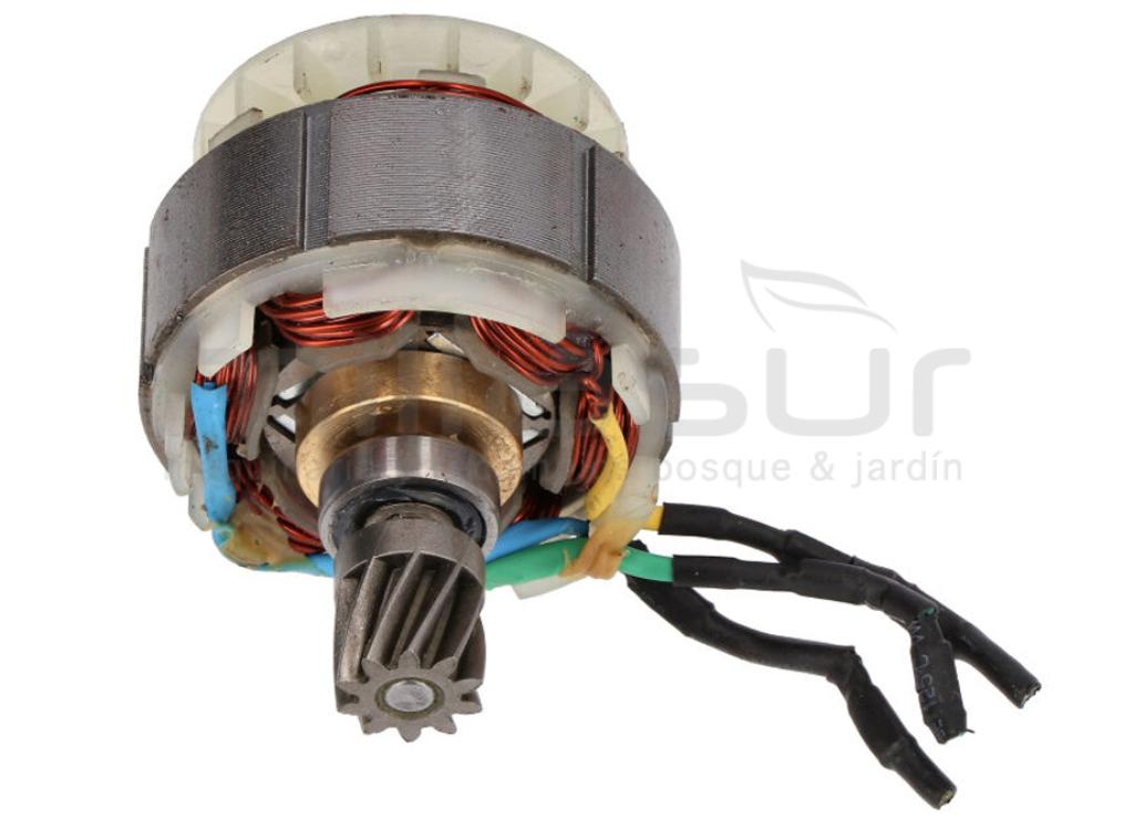 MOTOR  MB300 (30) - foto 1