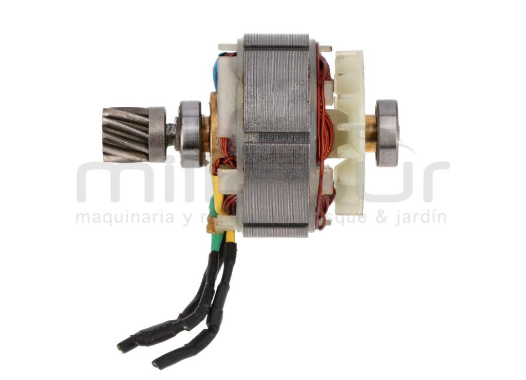 MOTOR  MB300 (30) - foto 4