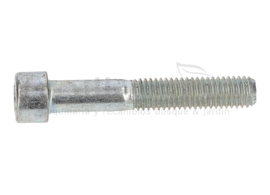 TORNILLO APRIETE CULATA BOMBA P100-187 - foto 1