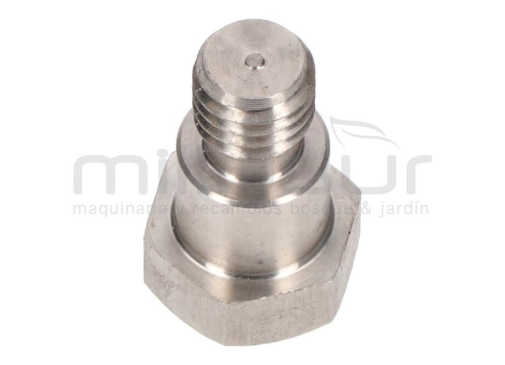 TORNILLO SUJECCION MEMBRANA BOMBA P100-187 - foto 1