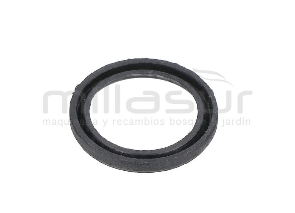 RETEN PISTON 23X18X2,5 BOMBA PG1C (36) - foto 1