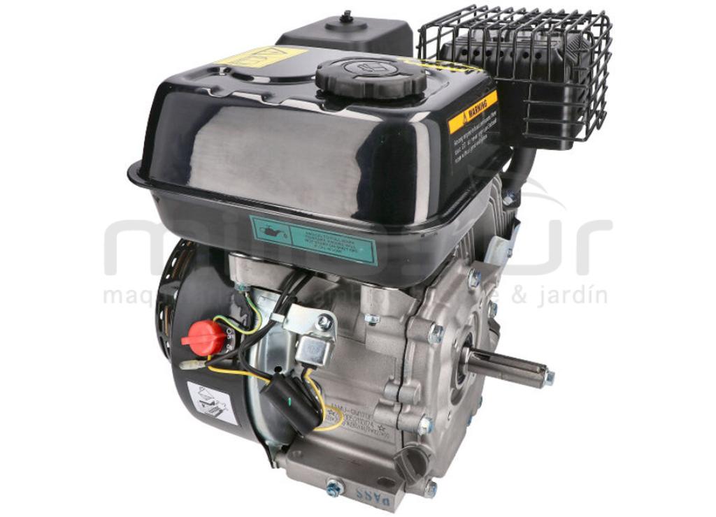 MOTOR COMPLETO 7CV RLT12GVH (49), BIO70 (24) - foto 1