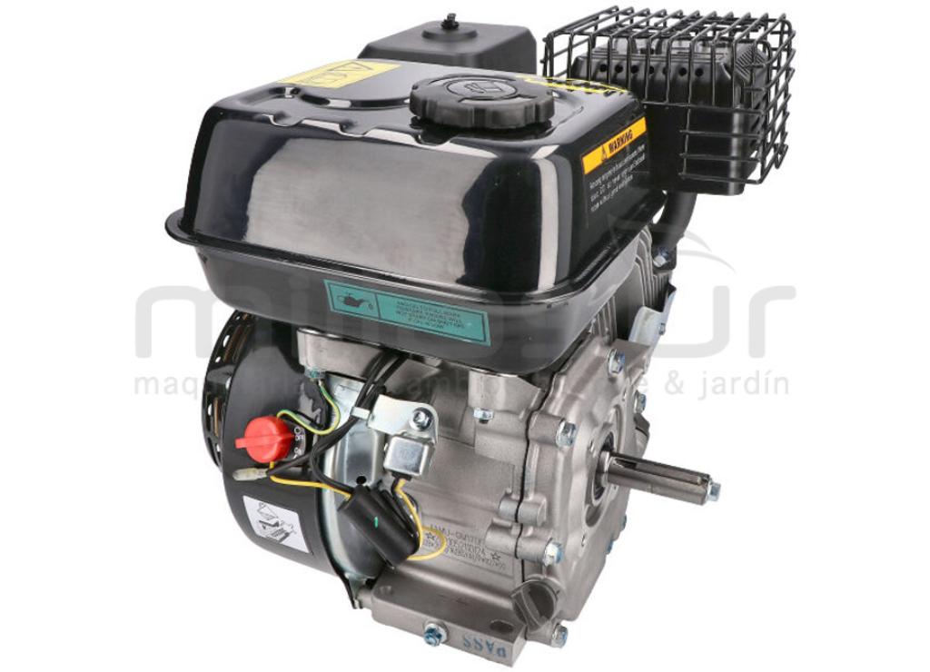 MOTOR COMPLETO 7CV RLT12GVH (49), BIO70 (24) - foto 1