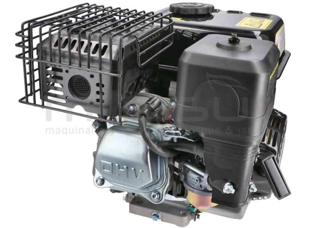 MOTOR COMPLETO 7CV RLT12GVH (49), BIO70 (24) - foto 3