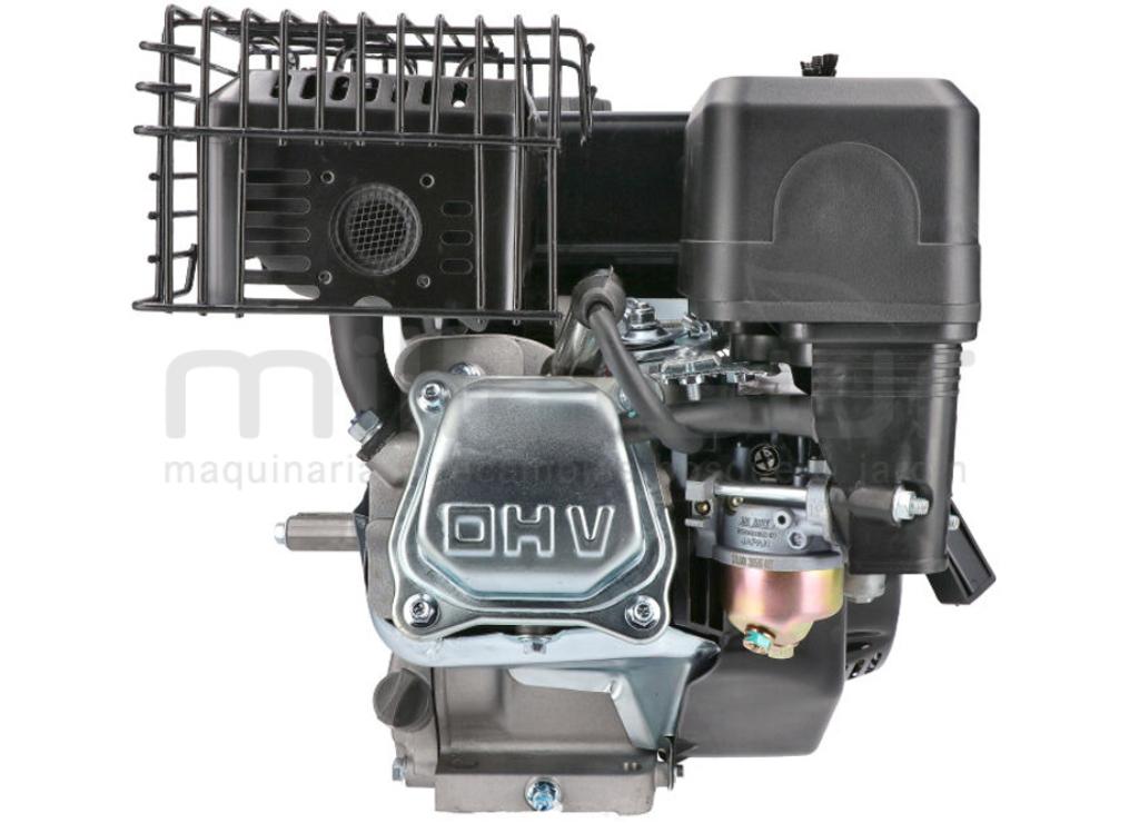 MOTOR COMPLETO 7CV RLT12GVH (49), BIO70 (24) - foto 4