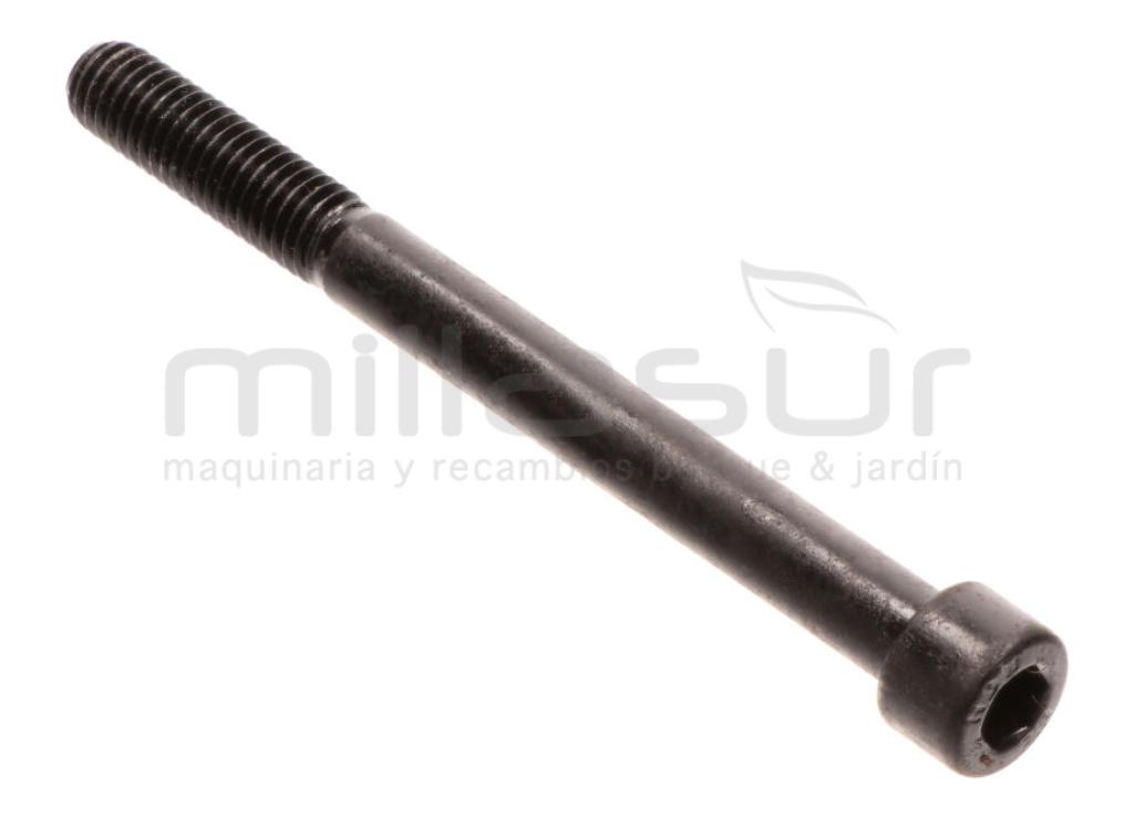 TORNILLO AMARRE BOMBA M8X90 RLT12GVH (58) - foto 1