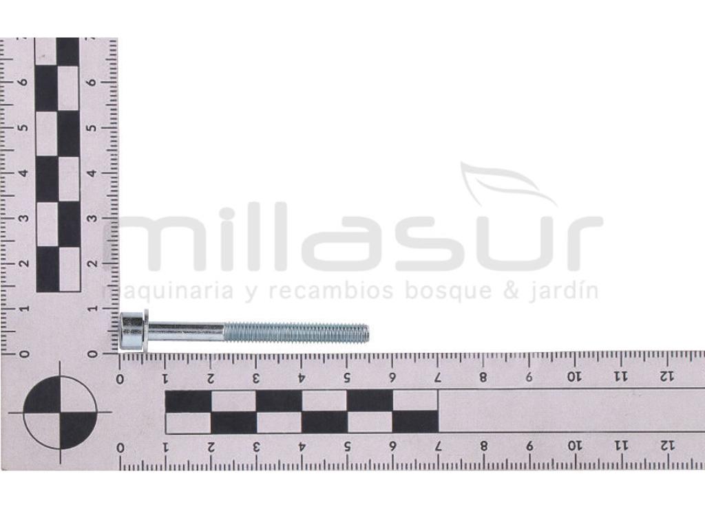 TORNILLO BASE FILTRO CARBURADOR MC52 (46) - foto 1