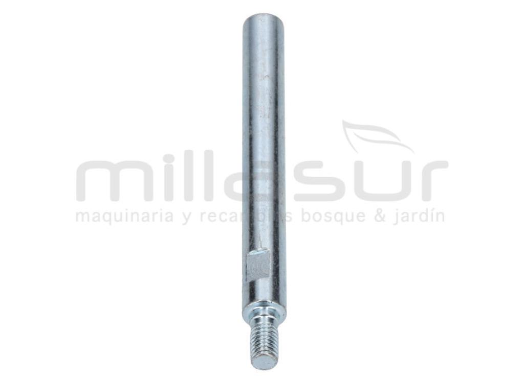 ESPARRAGO TAPA CORREA TC98S (14 33) - foto 4