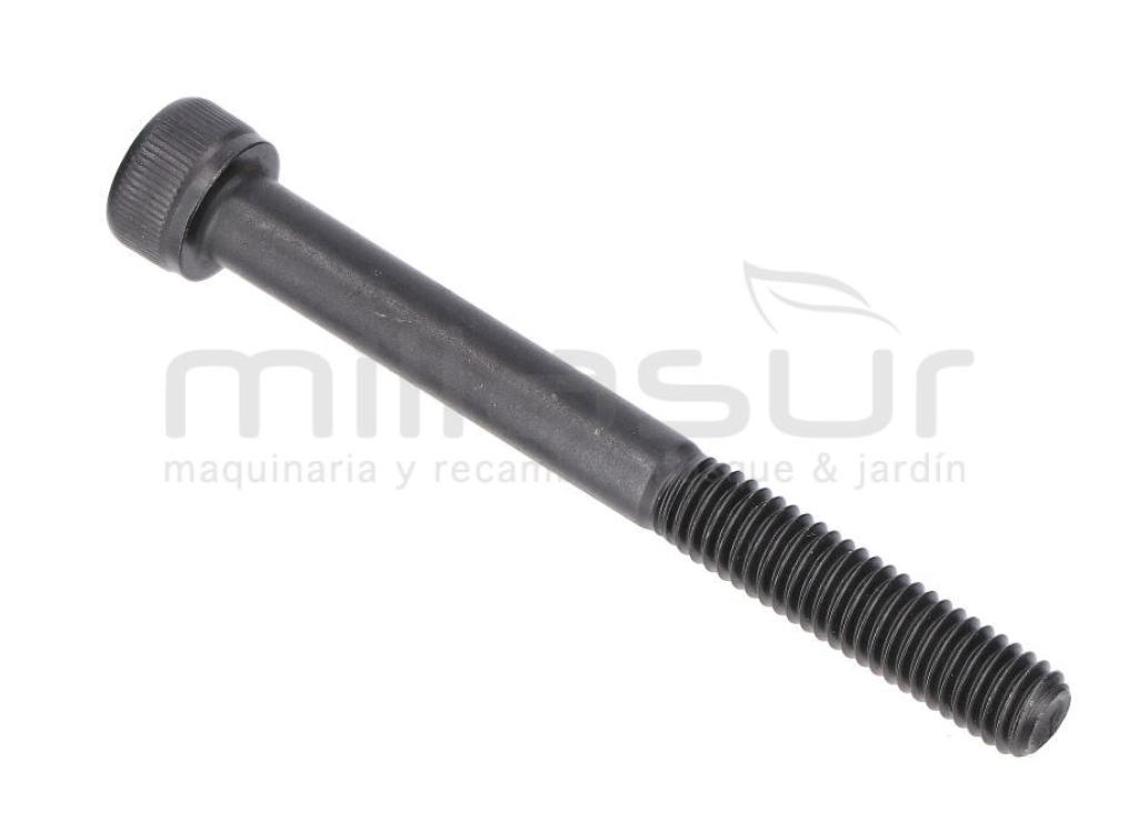 TORNILLO ESCAPE M6X60 D536 - foto 1