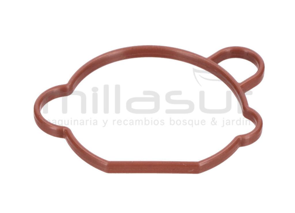 JUNTA SOPORTE FILTRO DE AIRE LC1P90F-1 (432CC) (2) - foto 1