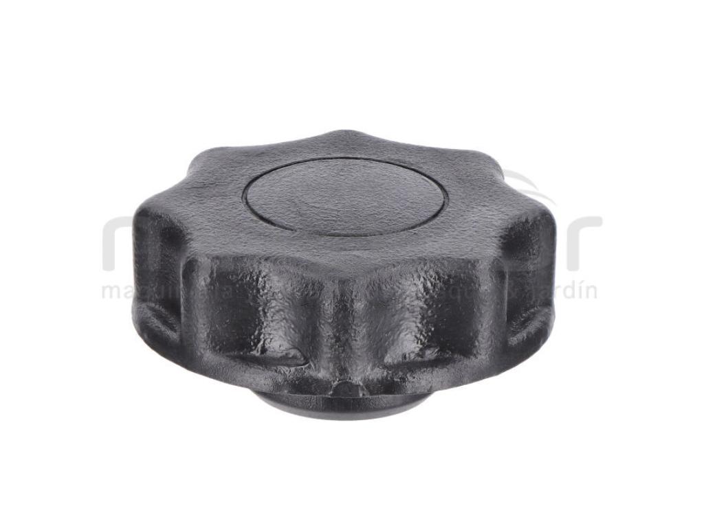 PALOMILLA TAPA FILTRO DE AIRE LC1P90F-1 (432CC) (3) - foto 2