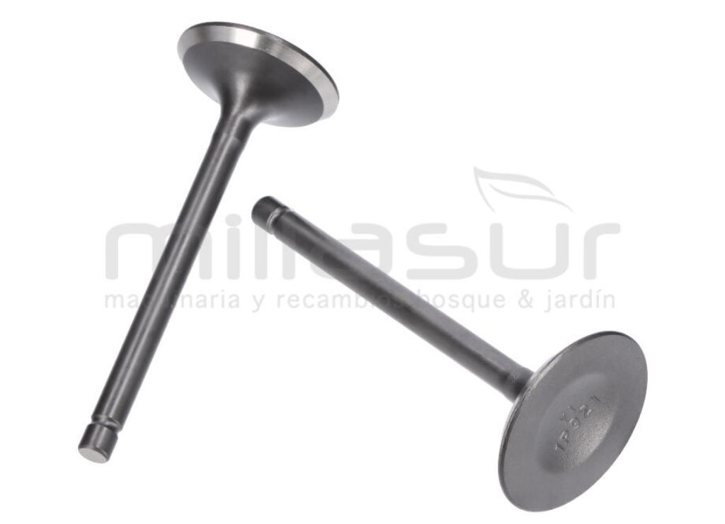 KIT DE VALVULAS LC1P90F-1 (432CC) (1) - foto 1