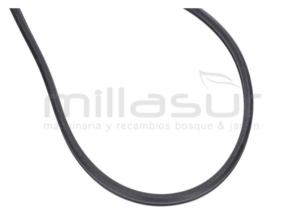 CORREA DE CORTE TC98H (D36) - foto 2