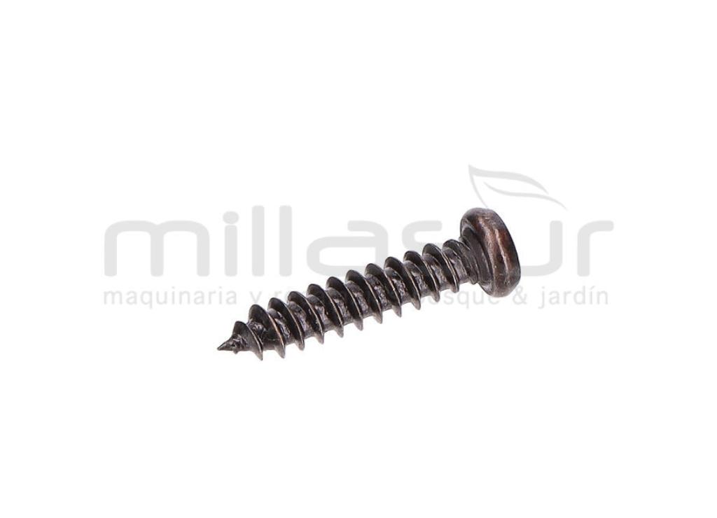 TORNILLO TAPA SUPERIOR 2,5X12 TPB4503 (22) - foto 1