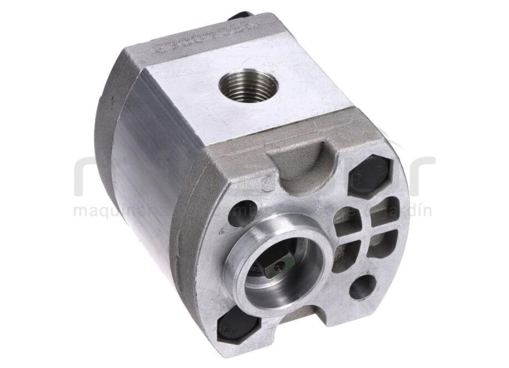 BOMBA RLT15G100 (20) - foto 1