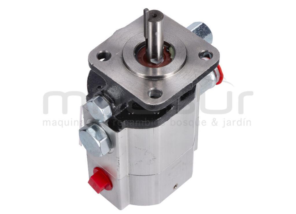 BOMBA RLT35GVH (38) - foto 1