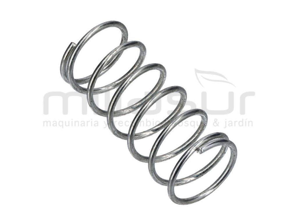 MUELLE RETORNO BULON PASADOR RLT35GVH (24) - foto 1