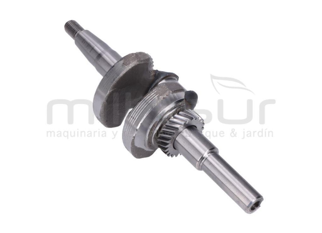 CIGÚEÑAL BIO70VR-BIO70D-BIO50V - foto 1