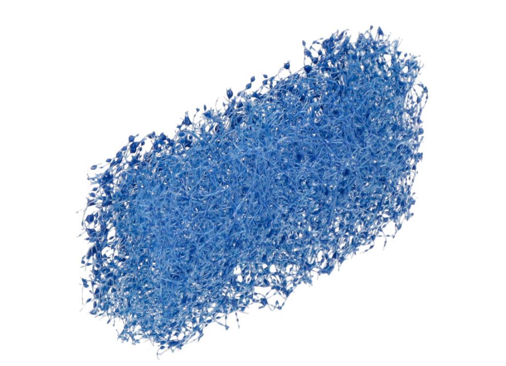 FILTRO ESPUMA CAMARA RESPIRO GF200FA (196CC) (15) - foto 2