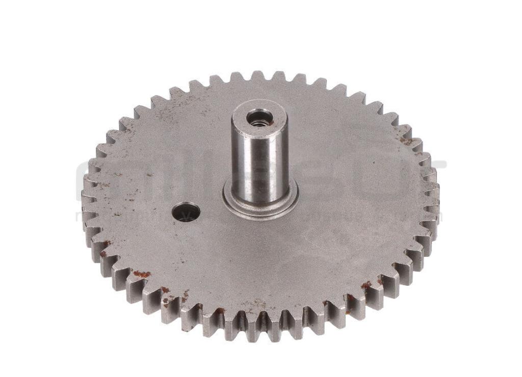 PIÑON EXCENTRICO (14) - foto 1