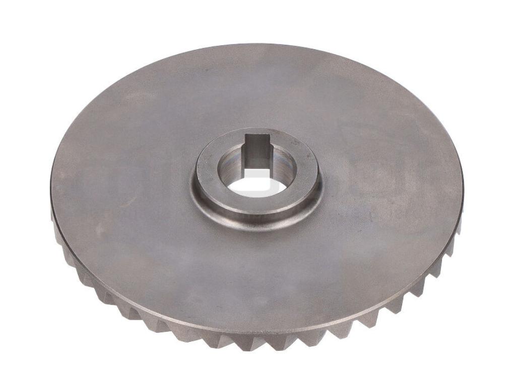 PIÑON GRANDE (23) - foto 1