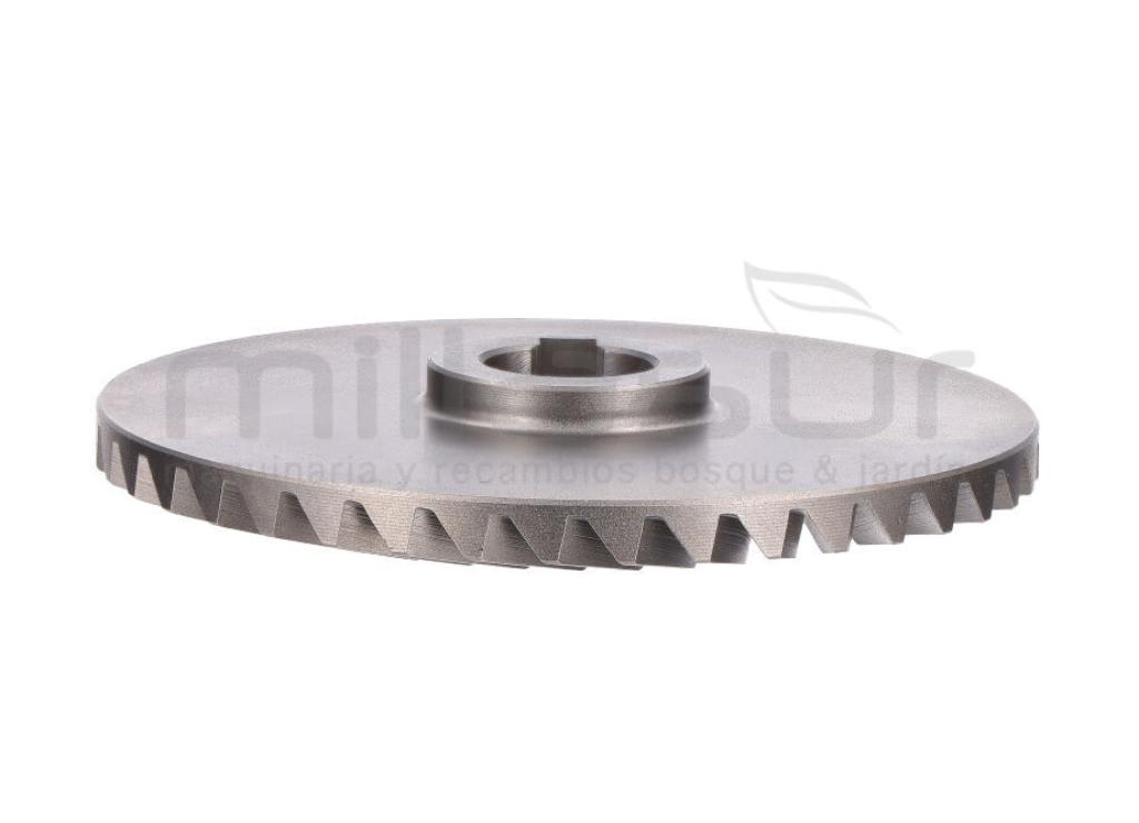 PIÑON GRANDE (23) - foto 2