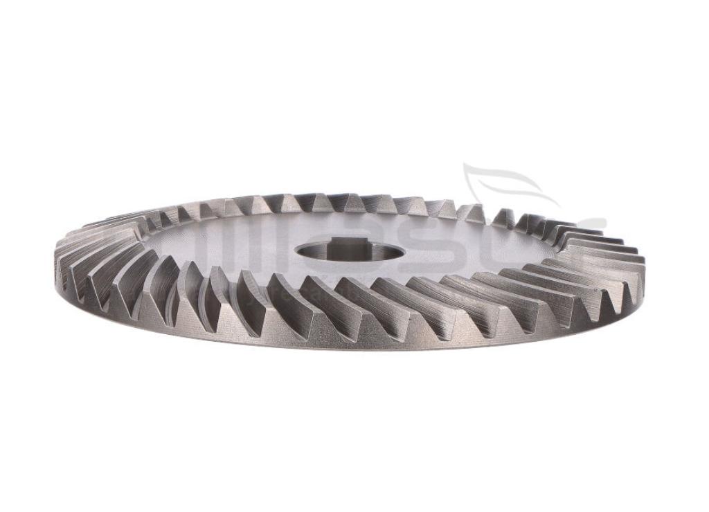 PIÑON GRANDE (23) - foto 3